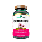 ECHINAFENSE